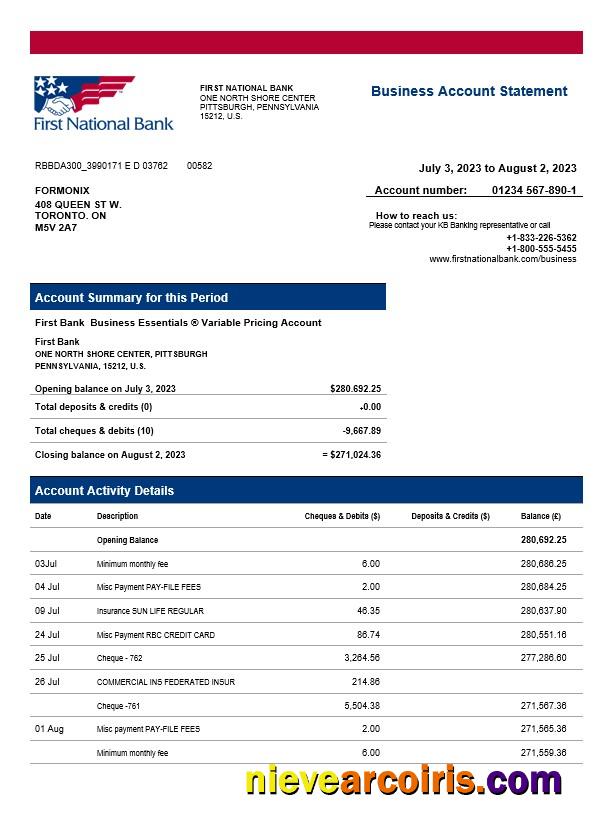 First National Bank firm statement